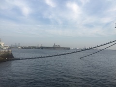 カモメといずも