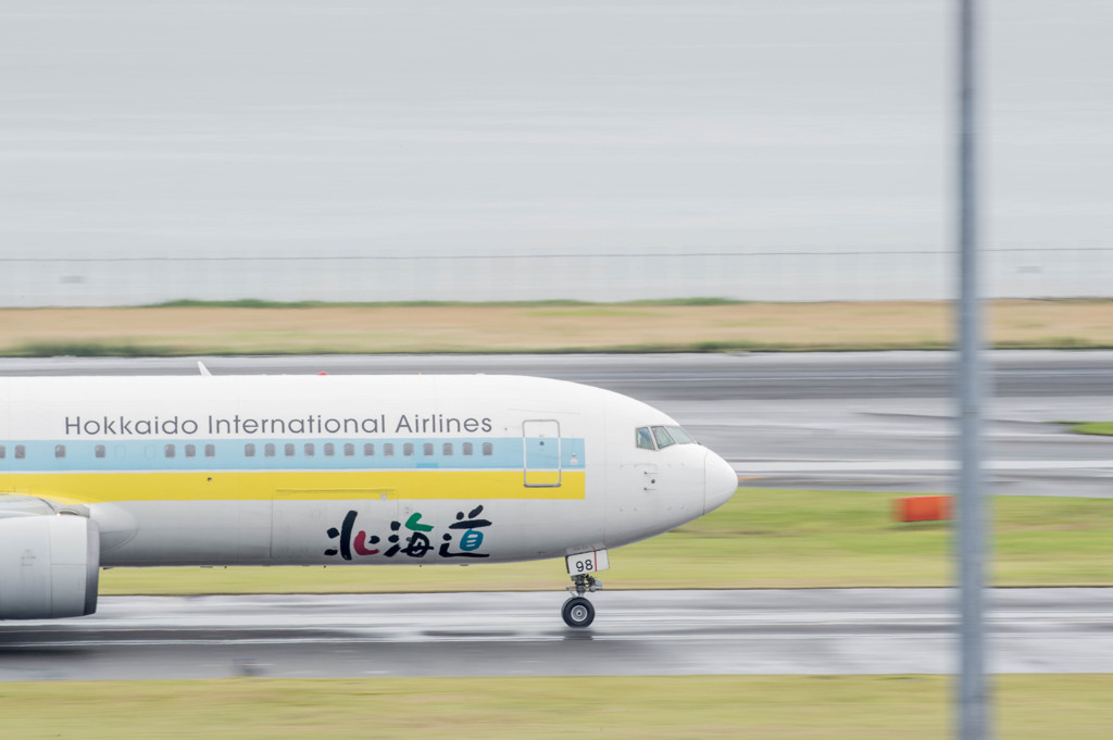 離陸滑走・・・Σ(ﾟдﾟlll)　そ、そこは滑走路じゃないよ！