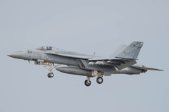 ＃410　VFA-195　Dambusters