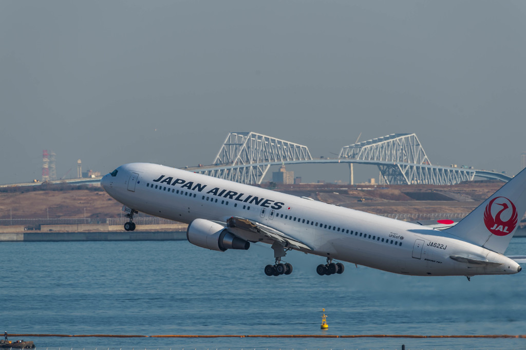 白鳥捜査・・・13