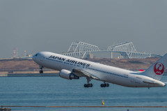 白鳥捜査・・・13