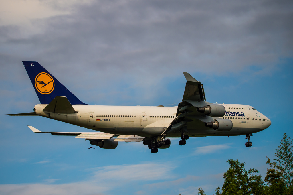 バードと流布人はん