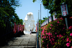 第3ラウンド　お題　参道　撮影者　パパ
