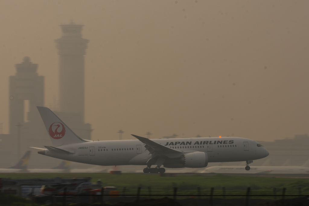 JAL　Boeing787