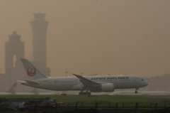 JAL　Boeing787