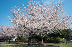 通常の３倍の・・・4