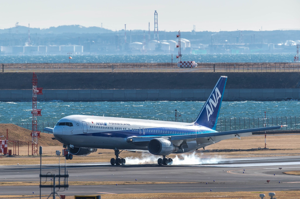 ハミングバード編おしまい・・・