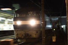 大動脈・・・