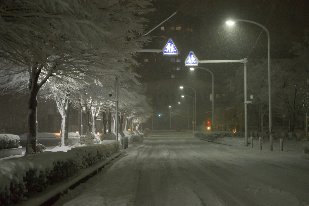 首都圏4年ぶりの大雪・・・3