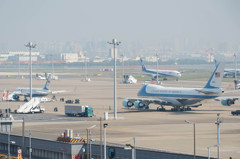 そろい踏み・・・