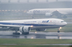 Typhoon19・・・35