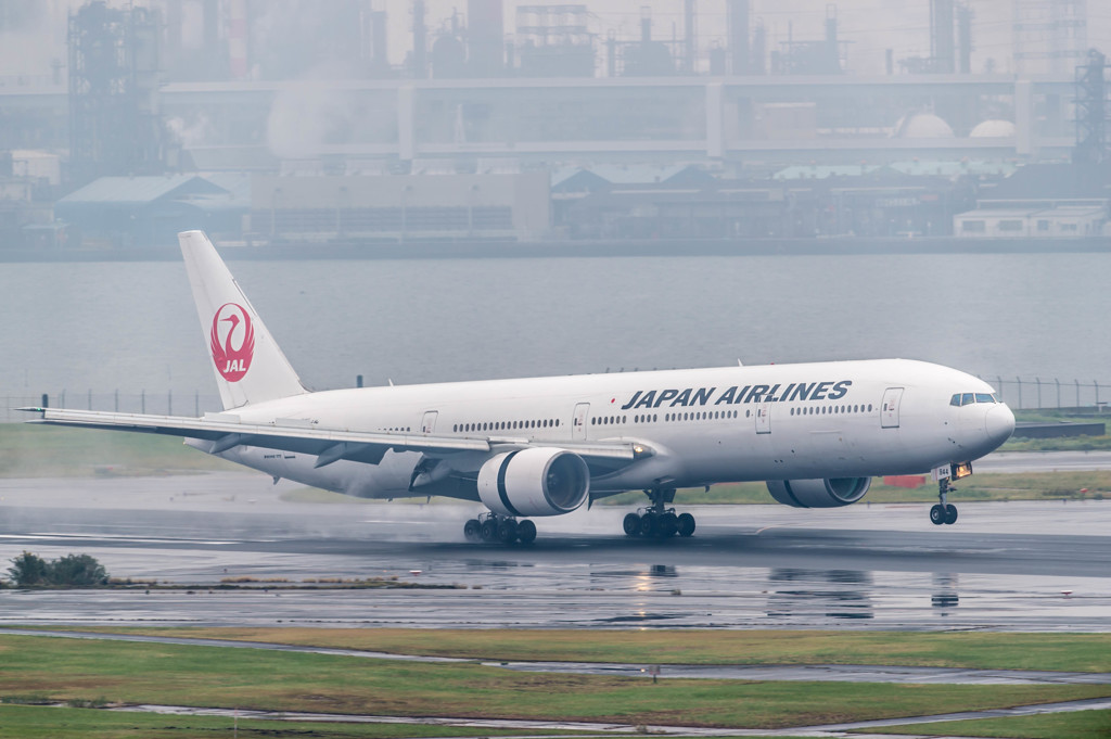 Typhoon19・・・26