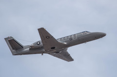 マリンコのお使い・・・