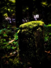なぜ山へ登るのか・・・