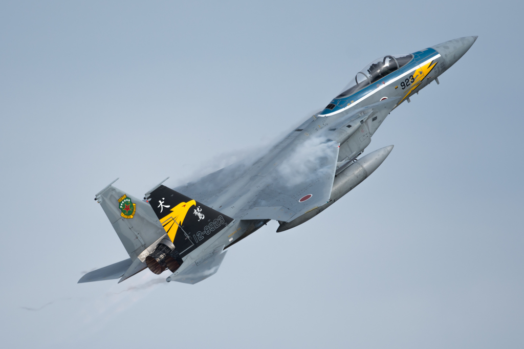 JASDF 306th Tactical Fighter Squadron