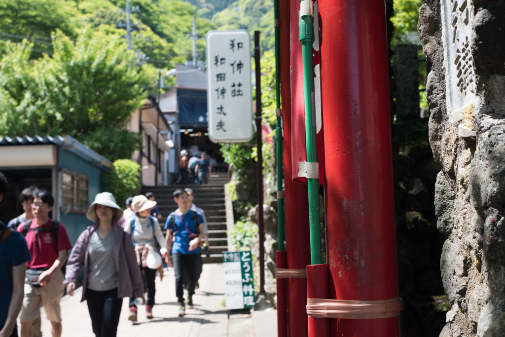 小田急線の駅からバスに乗ってやってきましたw