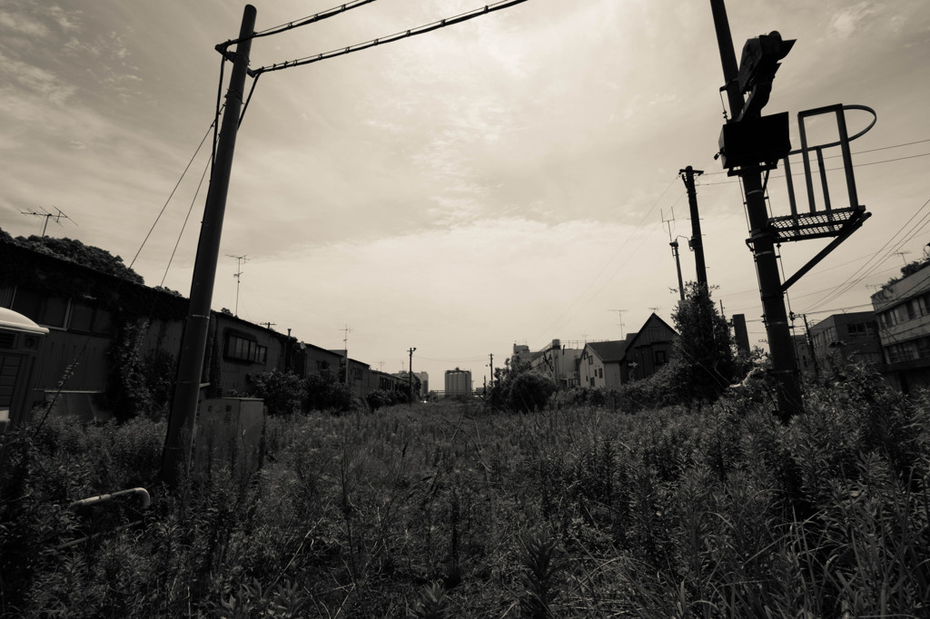 セピア色の軌跡