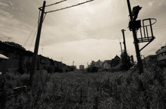 セピア色の軌跡