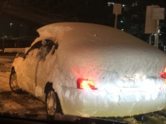 首都圏4年ぶりの大雪・・・8