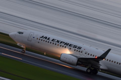 トリミングの鬼