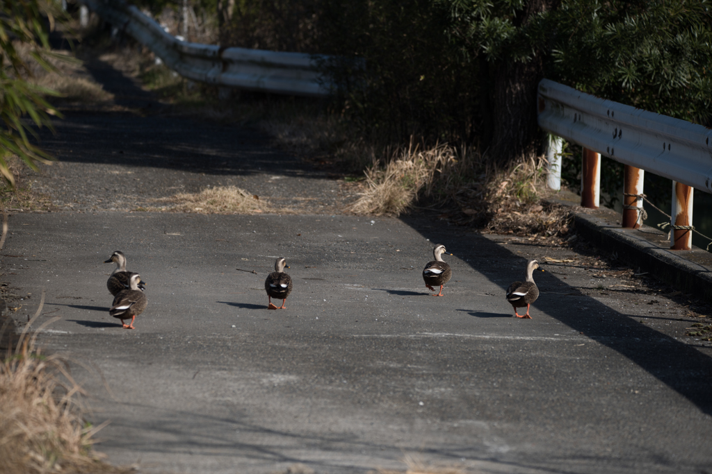 時を止まらせる事はできないけれど