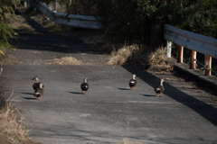 時を止まらせる事はできないけれど
