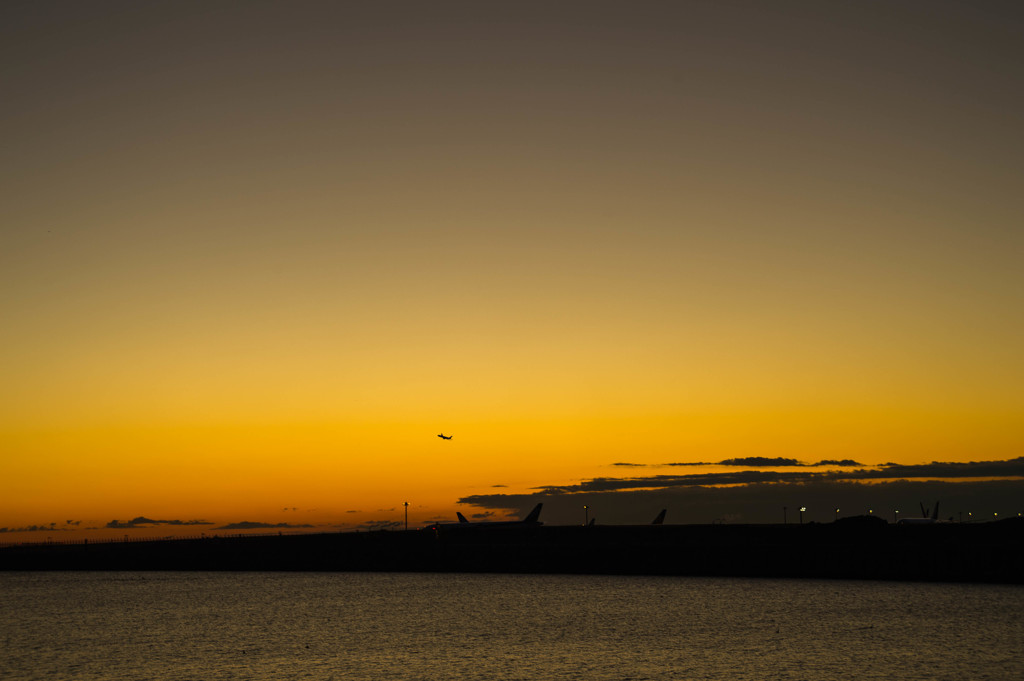 ハミングバードに逢いたくて・・・5