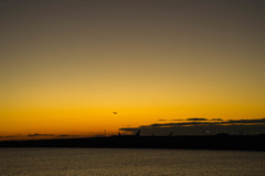 ハミングバードに逢いたくて・・・5