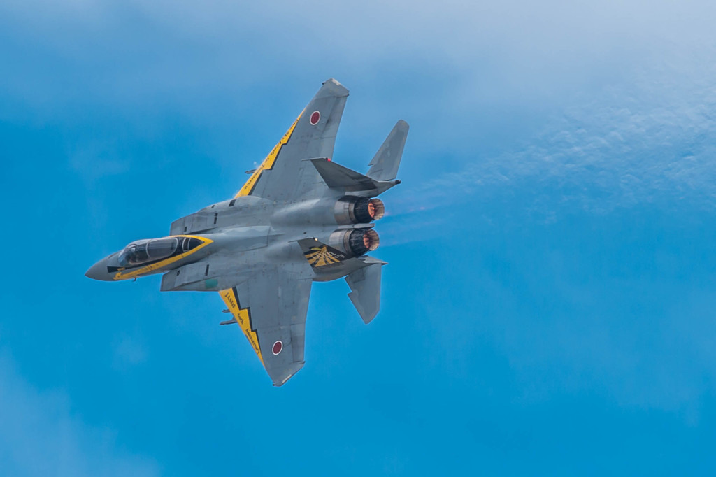 ゴールデンイーグル　航空自衛隊60周年記念塗装