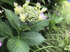 もう少し、あと少し〜♬