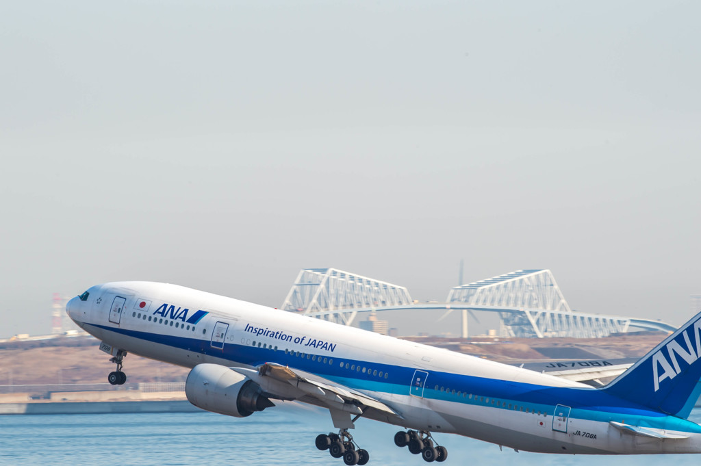 白鳥捜査・・・5