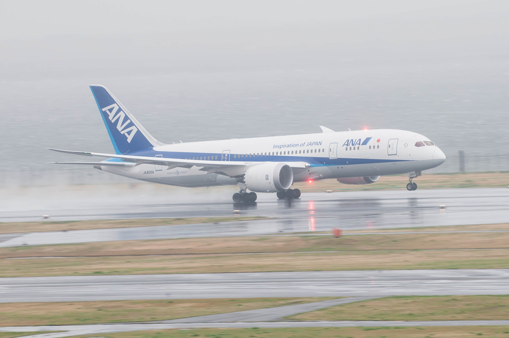 ANA　B787　ACLヒット