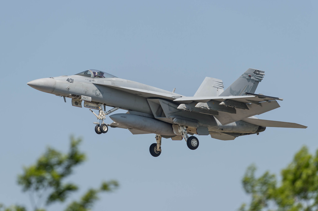 ＃401　VFA-195　Dambusters