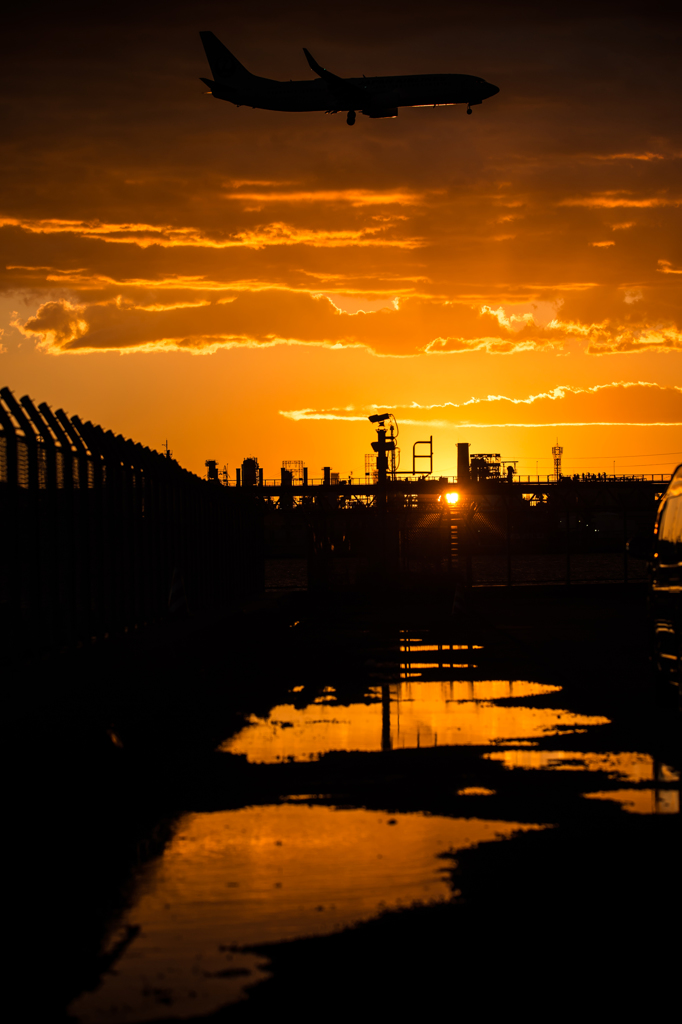 No License 120Days・・・40