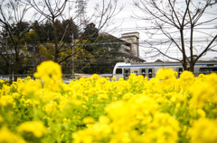 横浜ではこれが限界か？