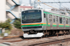 湘南新宿ライン　E231系