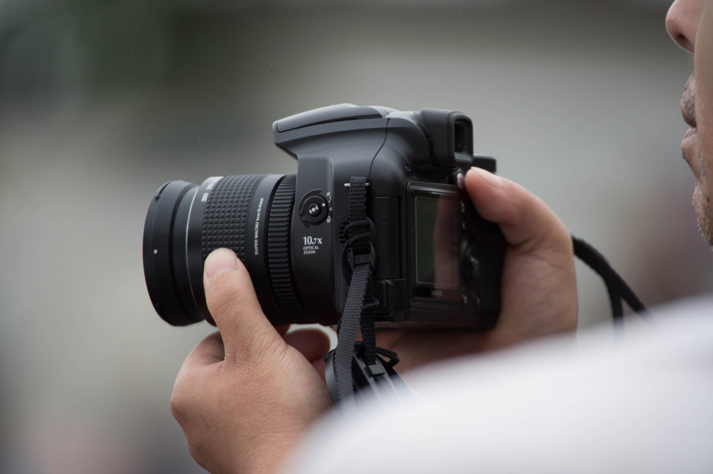 フジもいるよー