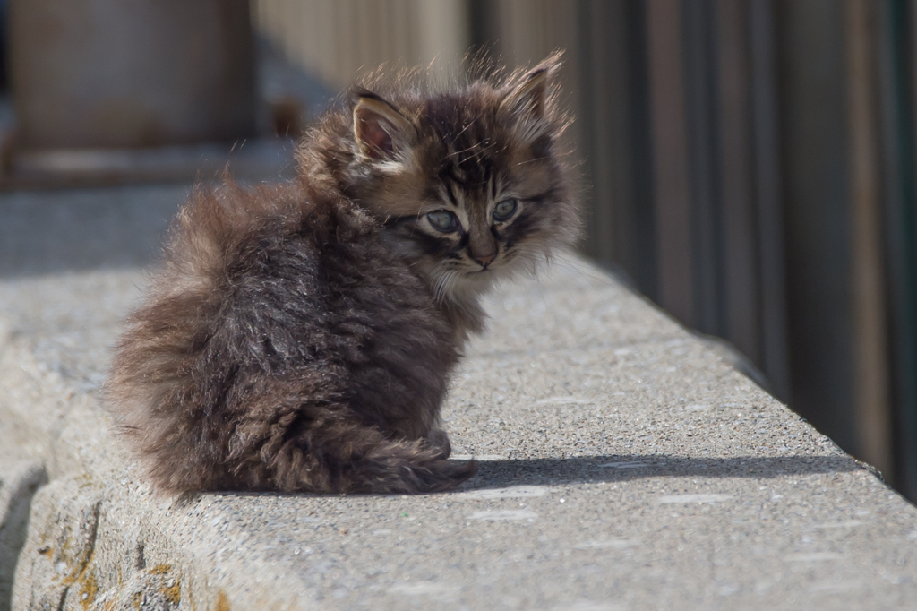 城南島ものがたり・・・31