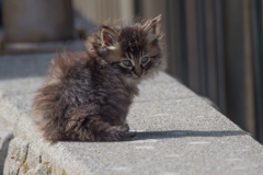 城南島ものがたり・・・31