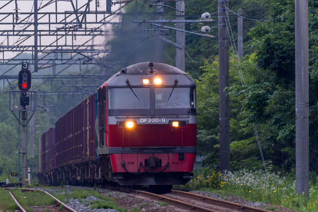 Memories in BIBI station