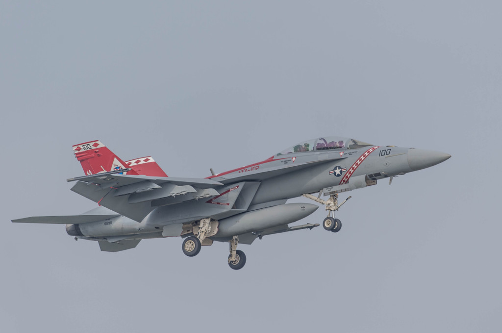 VFA-102 ダイヤモンドバックス　＃100