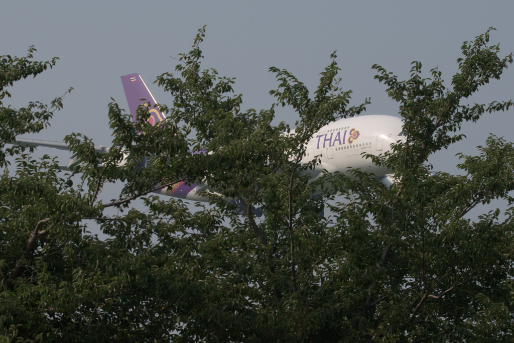 ギリースーツ？