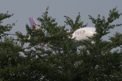 ギリースーツ？