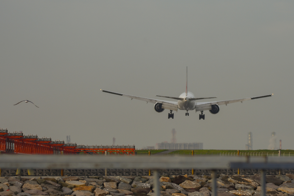 D7200とシグマ150-600contemporary・・・11
