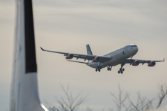 赤い彗星が成田へ接近中