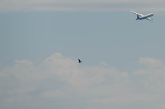 お母さん　待って～