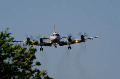 こっち来んなー(((( ;ﾟдﾟ))))ｱﾜﾜﾜﾜ