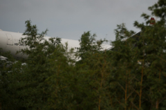 忘れた頃に・・・