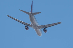 住宅地の真ん中で・・・6