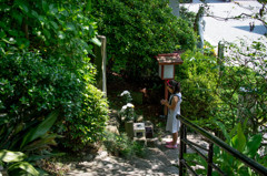 第4ラウンド　お題　祈り　撮影者　パパ